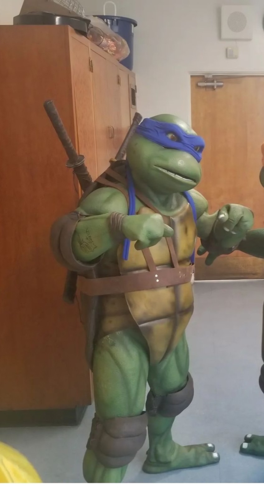 Custom made Ninja Turtle Costume