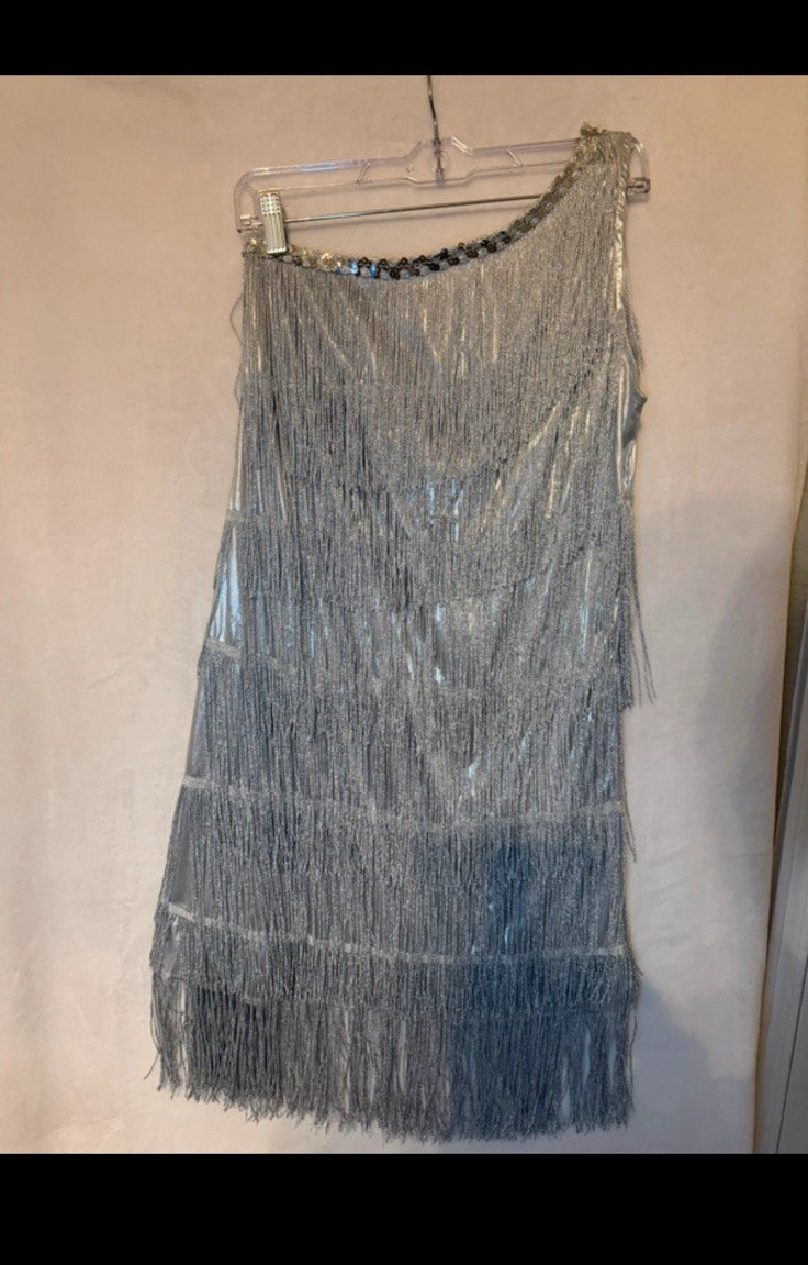 Spirit Halloween Flapper Dress Silver Fringe 1920s Halloween Size M MPN 01147453