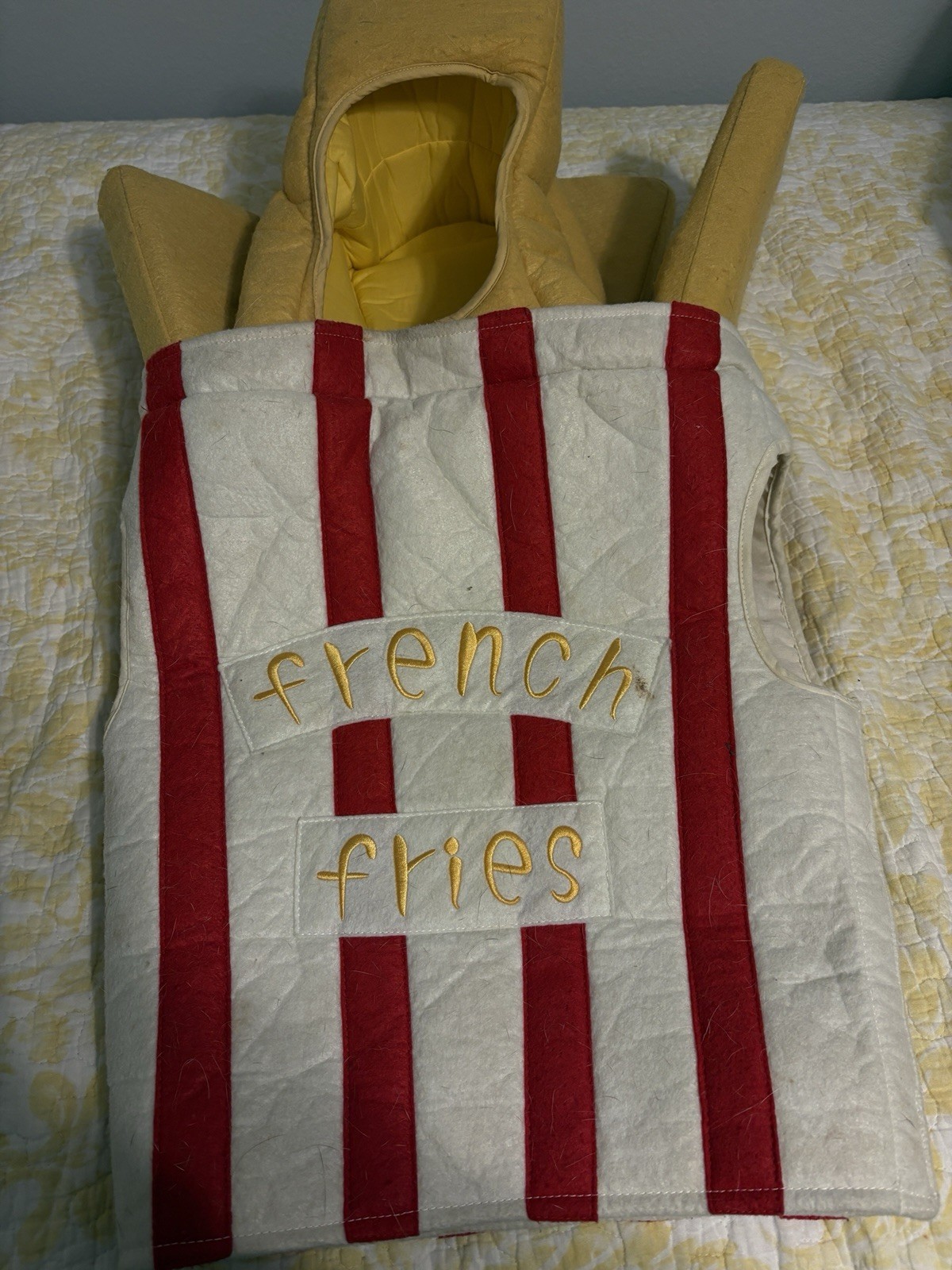 POTTERY BARN KIDS French Fries COSTUME 2T-3T RARE Discontinued Halloween Funny