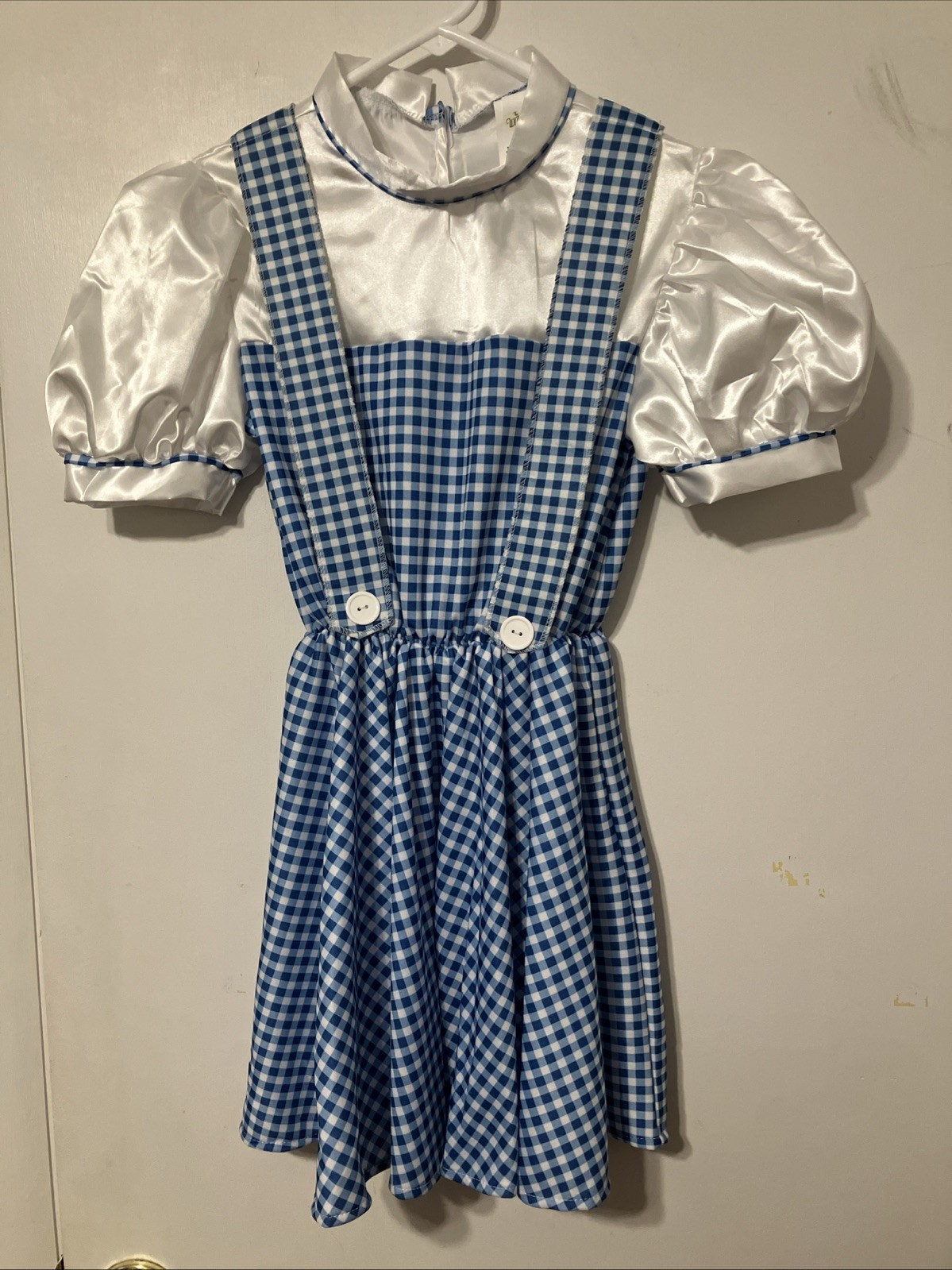 Girls Wizard of Oz Dress, Size Medium, Blue & White, 100% Polyester