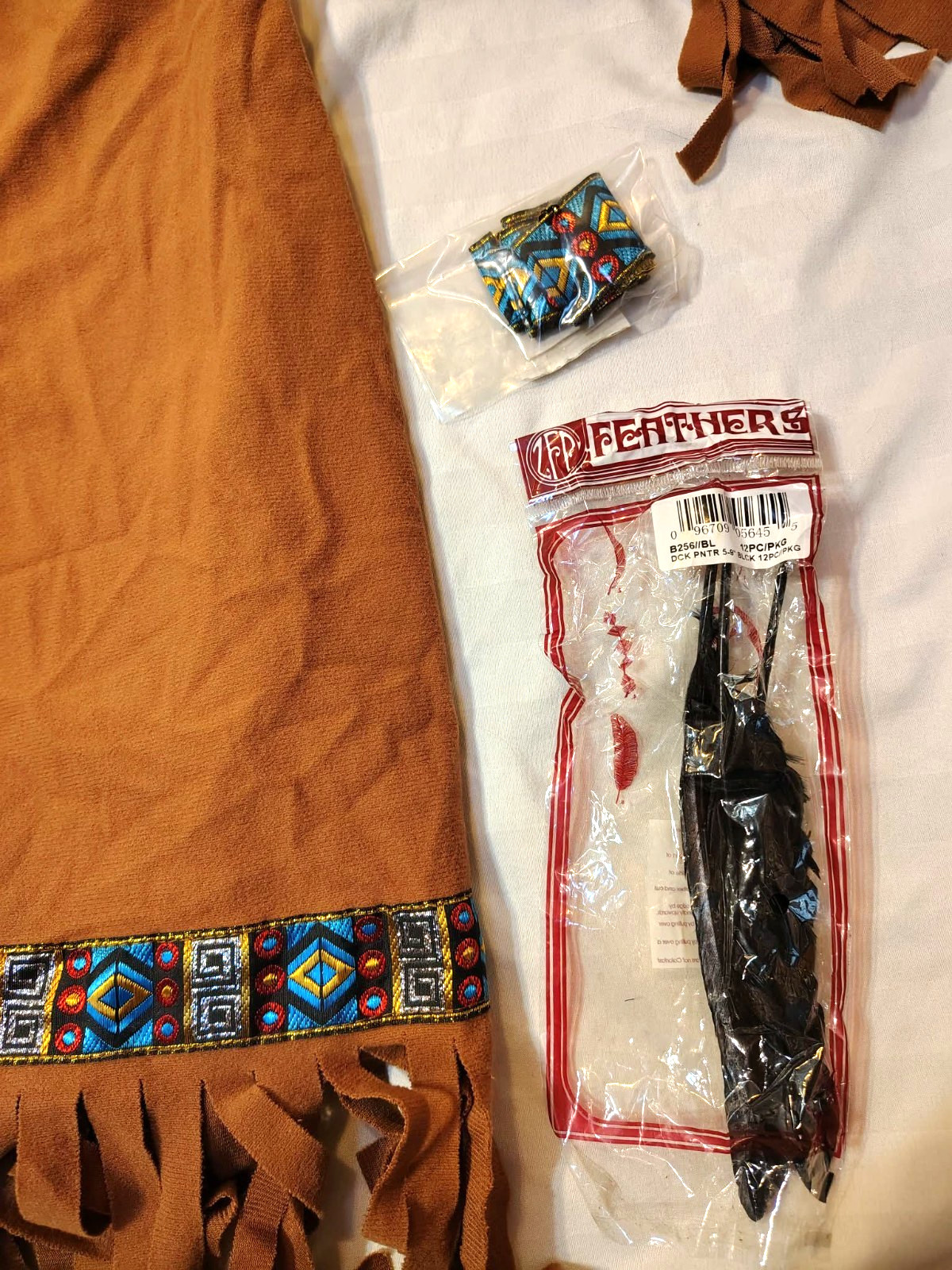 Fun World Costumes Native American Womens plus size 16W-20W
