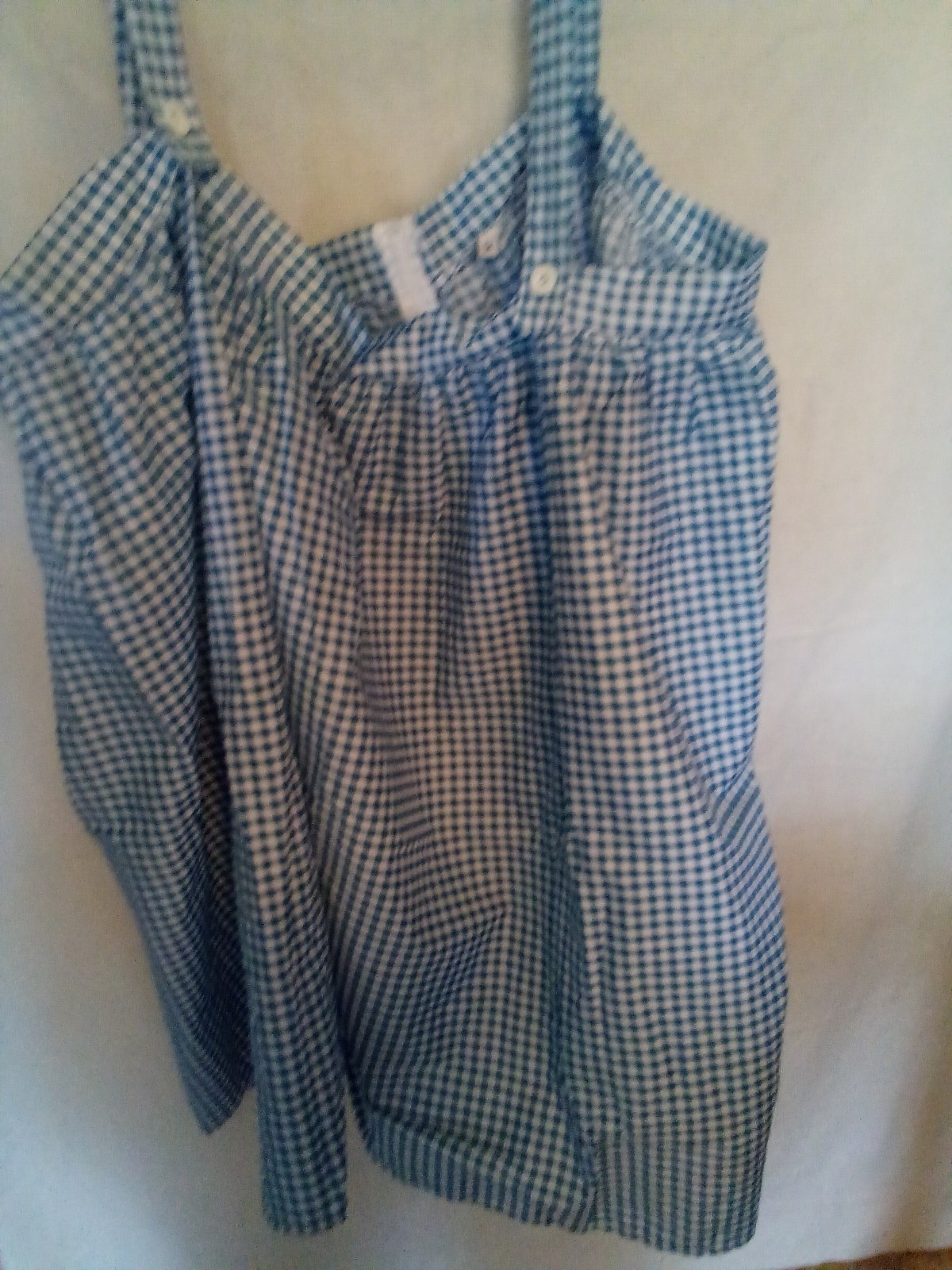 Adult plus size 5x Dorothy Halloween Costume/and Toto in basket