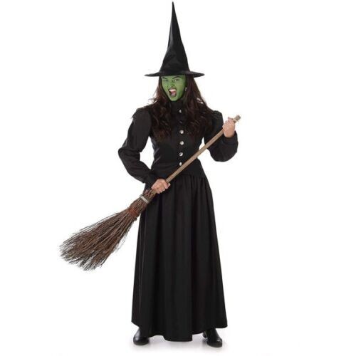 Wicked Witch- Witch Adult Costume Karnival Costumes Wicked Wizard of Oz Alphaba