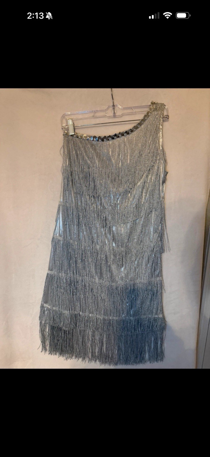 Spirit Halloween Flapper Dress Silver Fringe 1920s Halloween Size M MPN 01147453