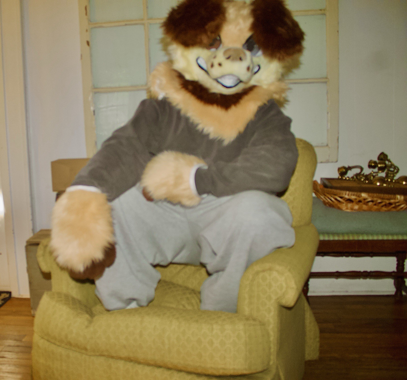 Doki Doki puppy fursuit with paws and collar