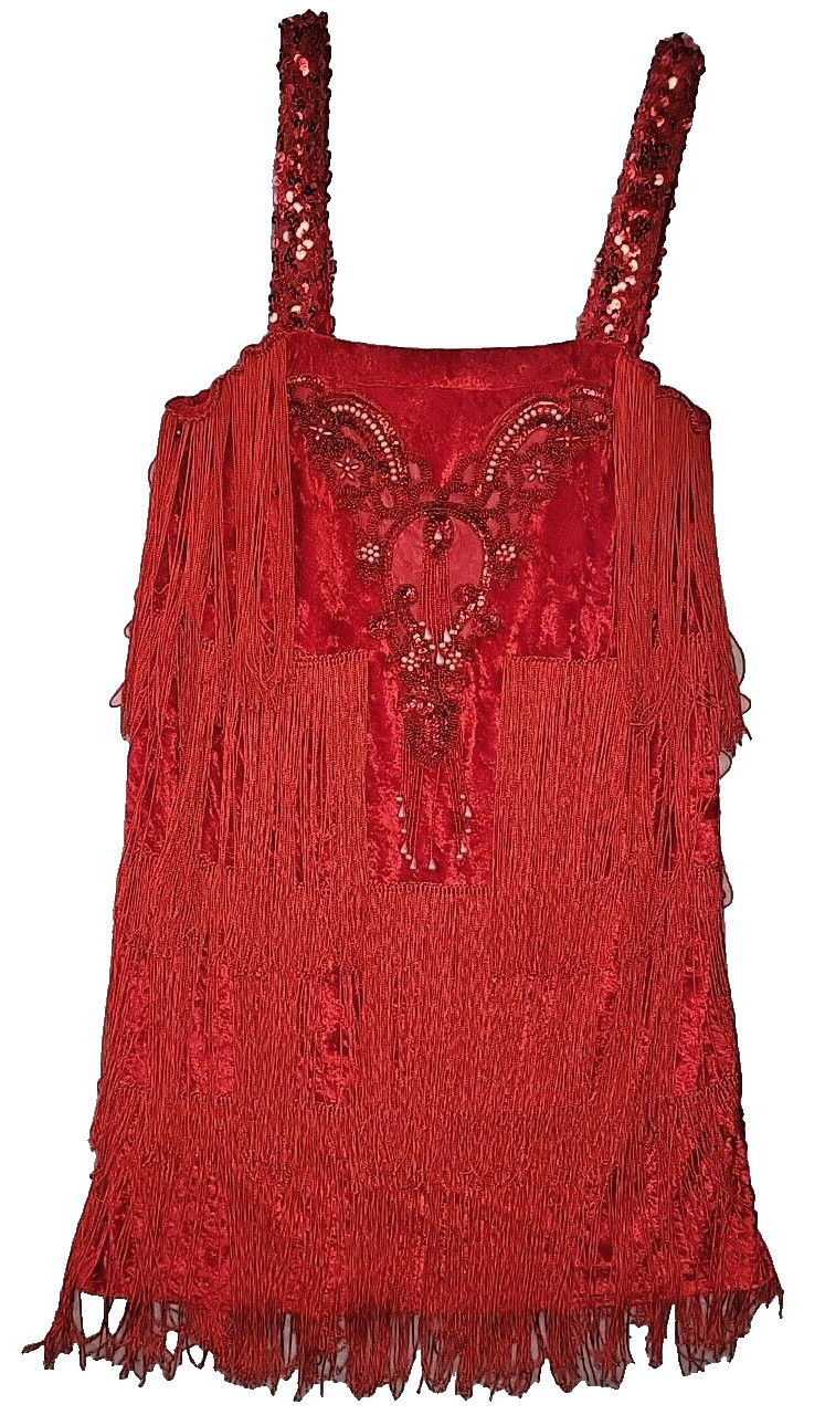 Vintage Red 1920s Flapper Costume Dress Sequin Strap Tabi’s Characters Women S