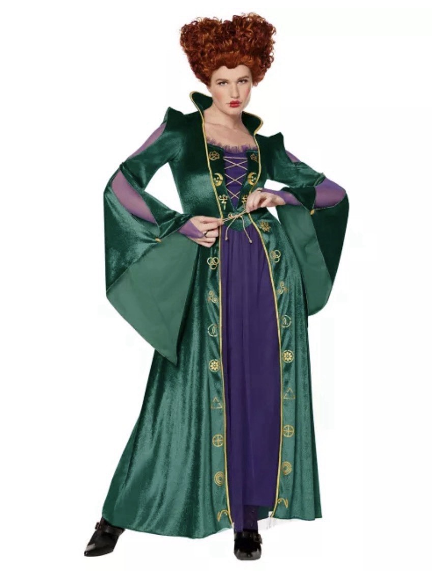 Disney Hocus Pocus Winifred Sanderson Costume Green Velvet Dress Plus Size 1X