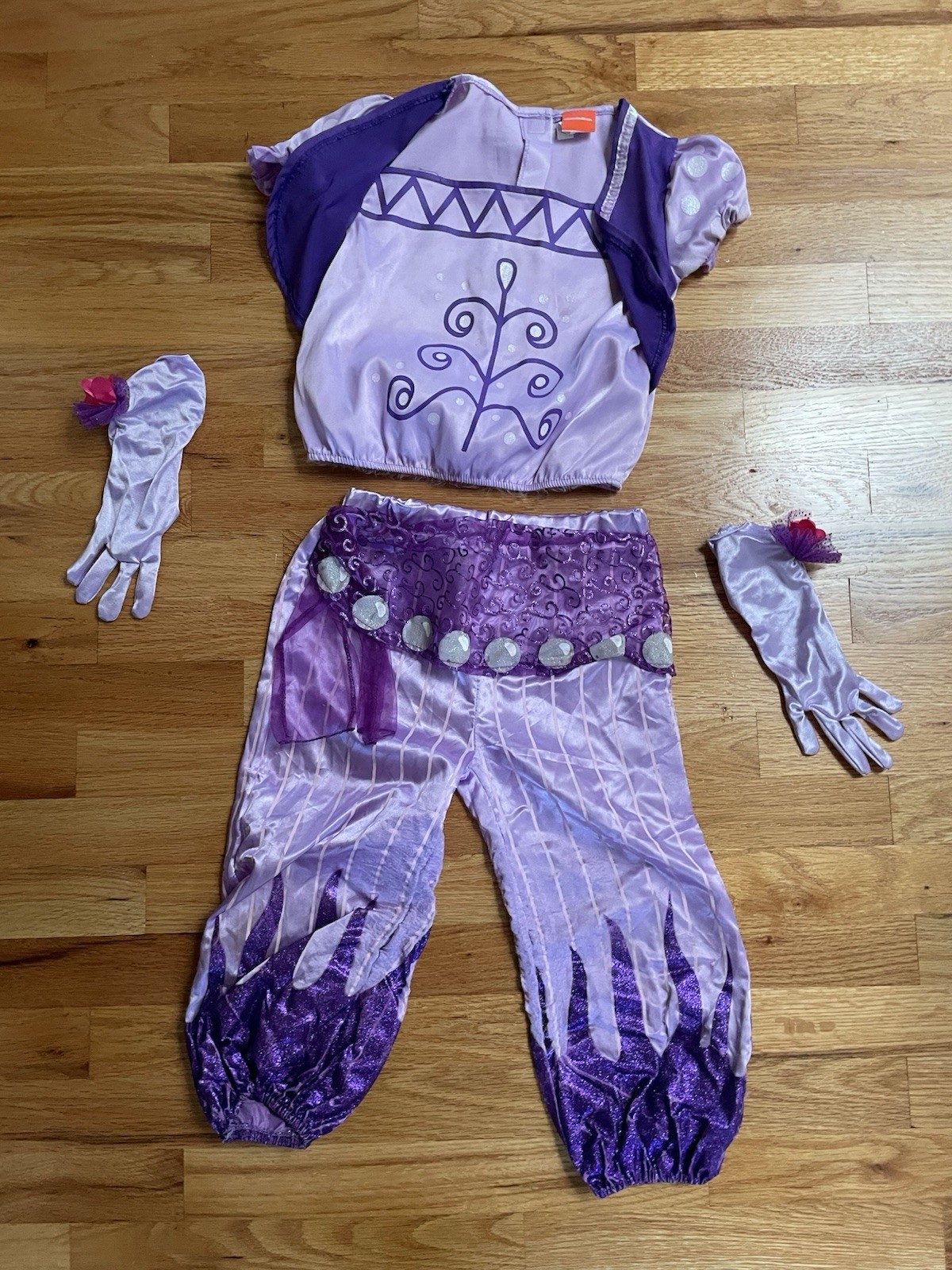 Nickelodeon Shimmer And Shine Purple Costume Child Size Small 4T – 6T Purple