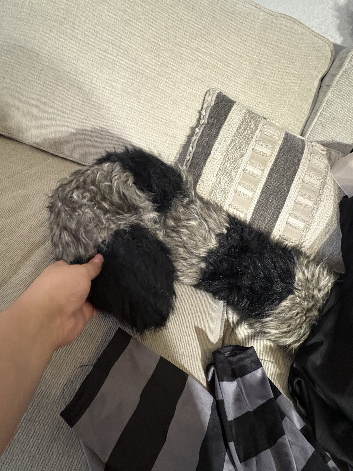 Risky Raccoon S/M Halloween Costume Leg Avenue Women READ