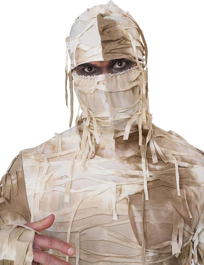 The Mummy Man Adult Men Costume