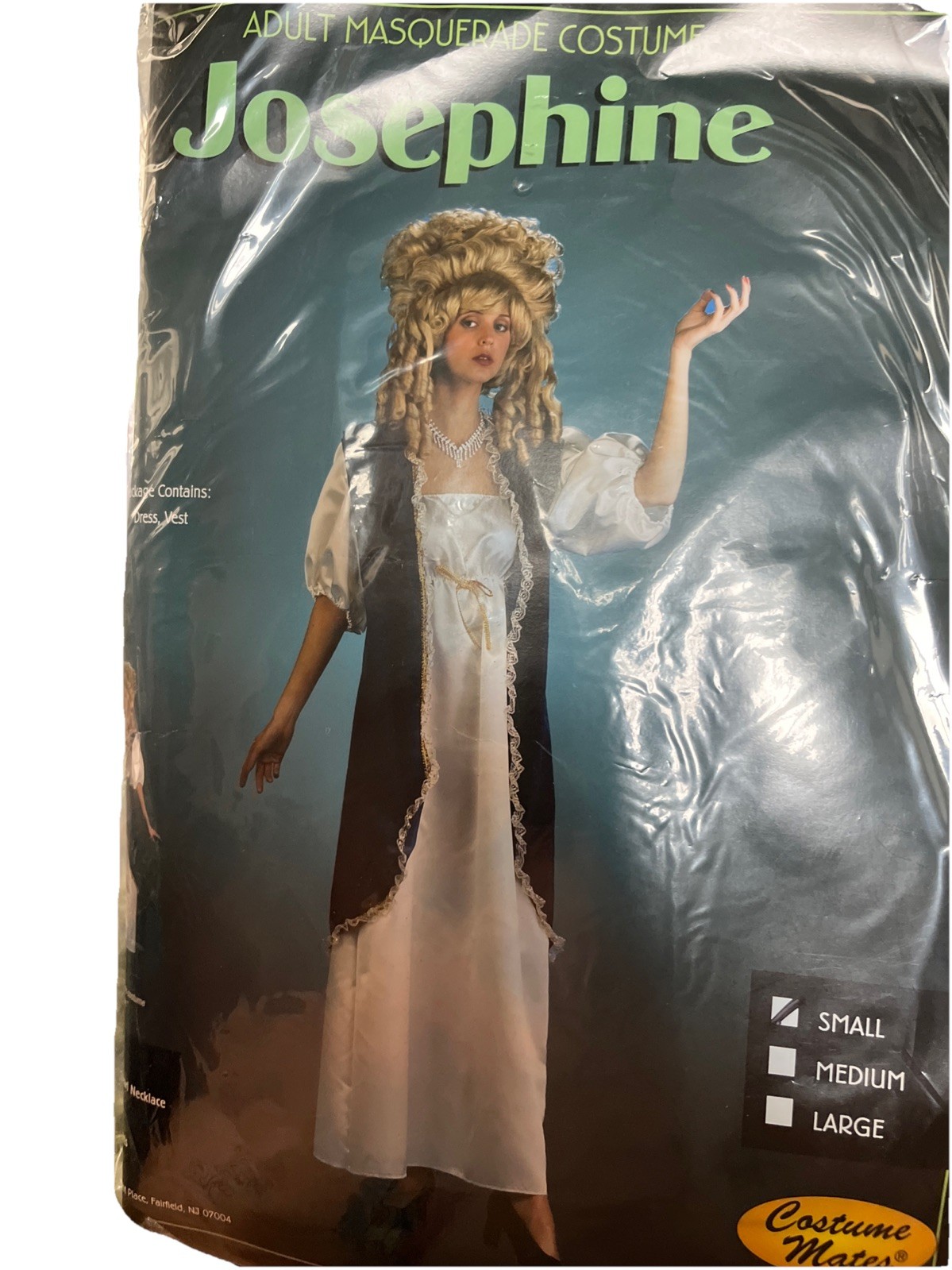Josephine French Noblewoman Renaissance Festival Dress Costume Adult S SMALL New