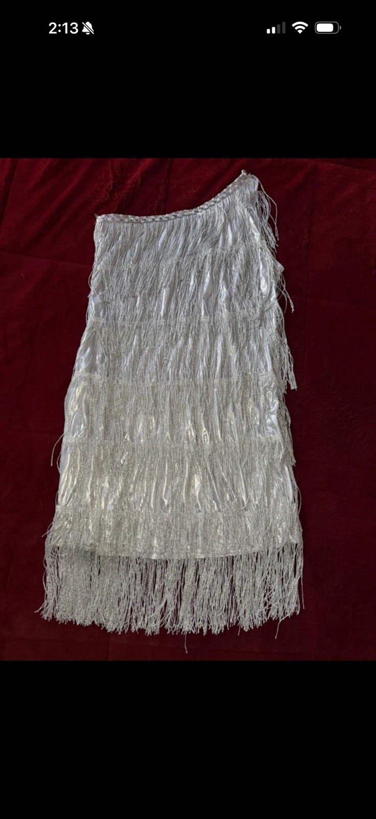 Spirit Halloween Flapper Dress Silver Fringe 1920s Halloween Size M MPN 01147453