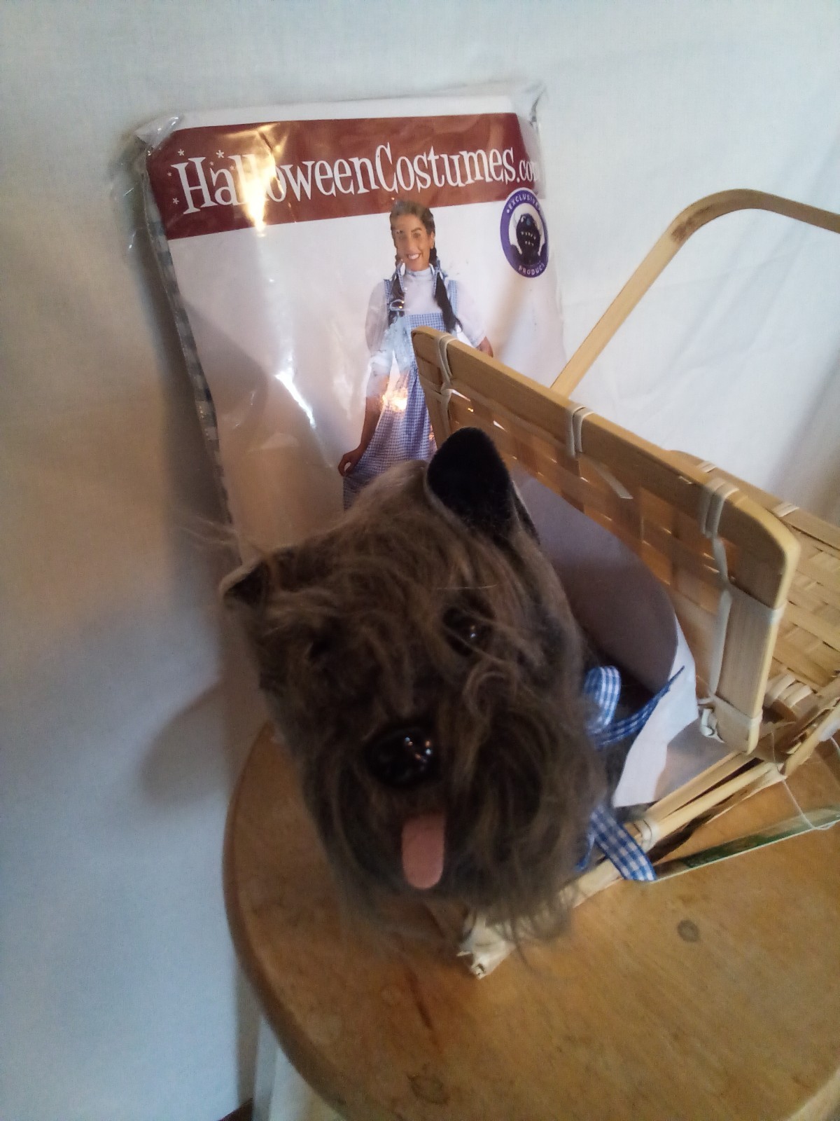 Adult plus size 5x Dorothy Halloween Costume/and Toto in basket