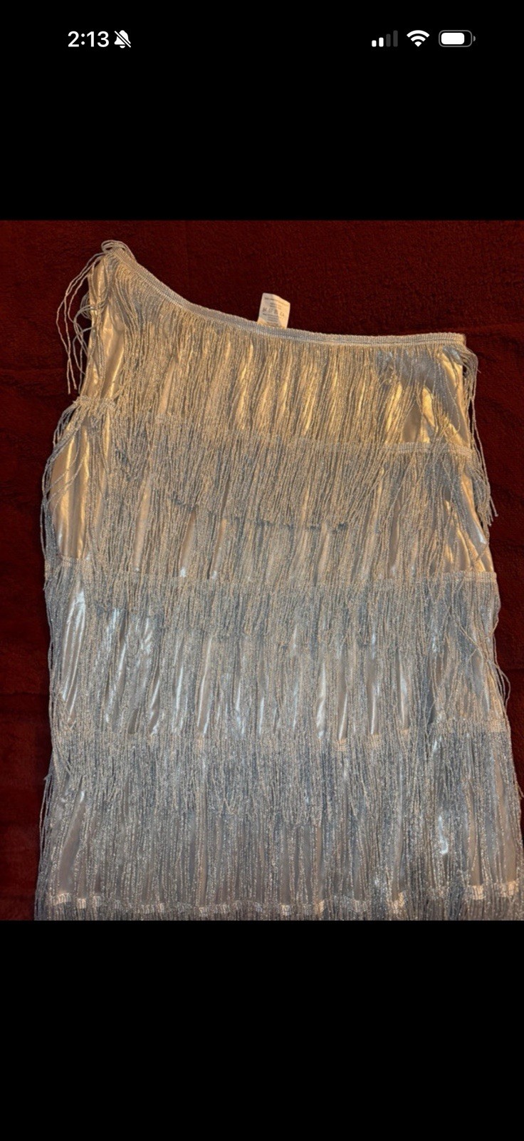 Spirit Halloween Flapper Dress Silver Fringe 1920s Halloween Size M MPN 01147453