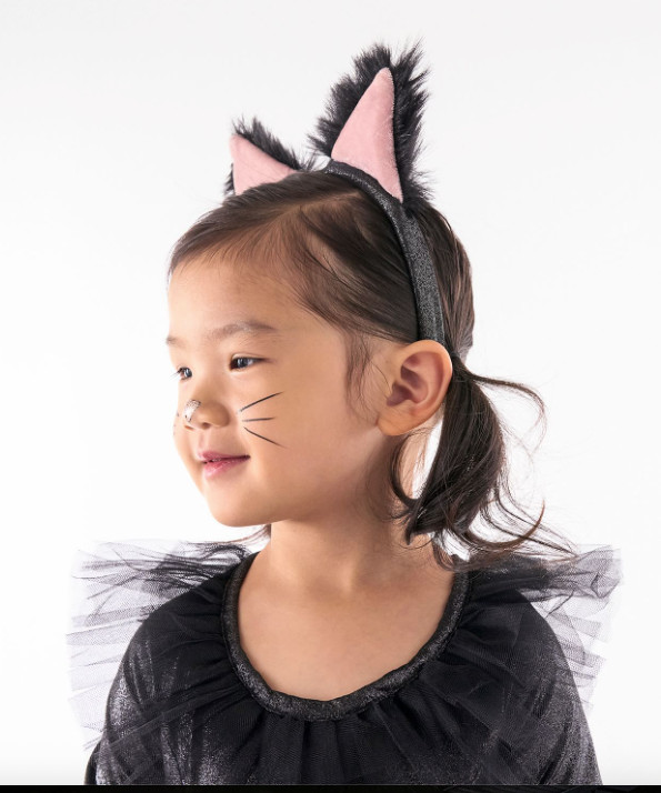Pottery Barn Kids Light-up Kitty CAT TUTU Costume 5-piece 3T NEW w/tags