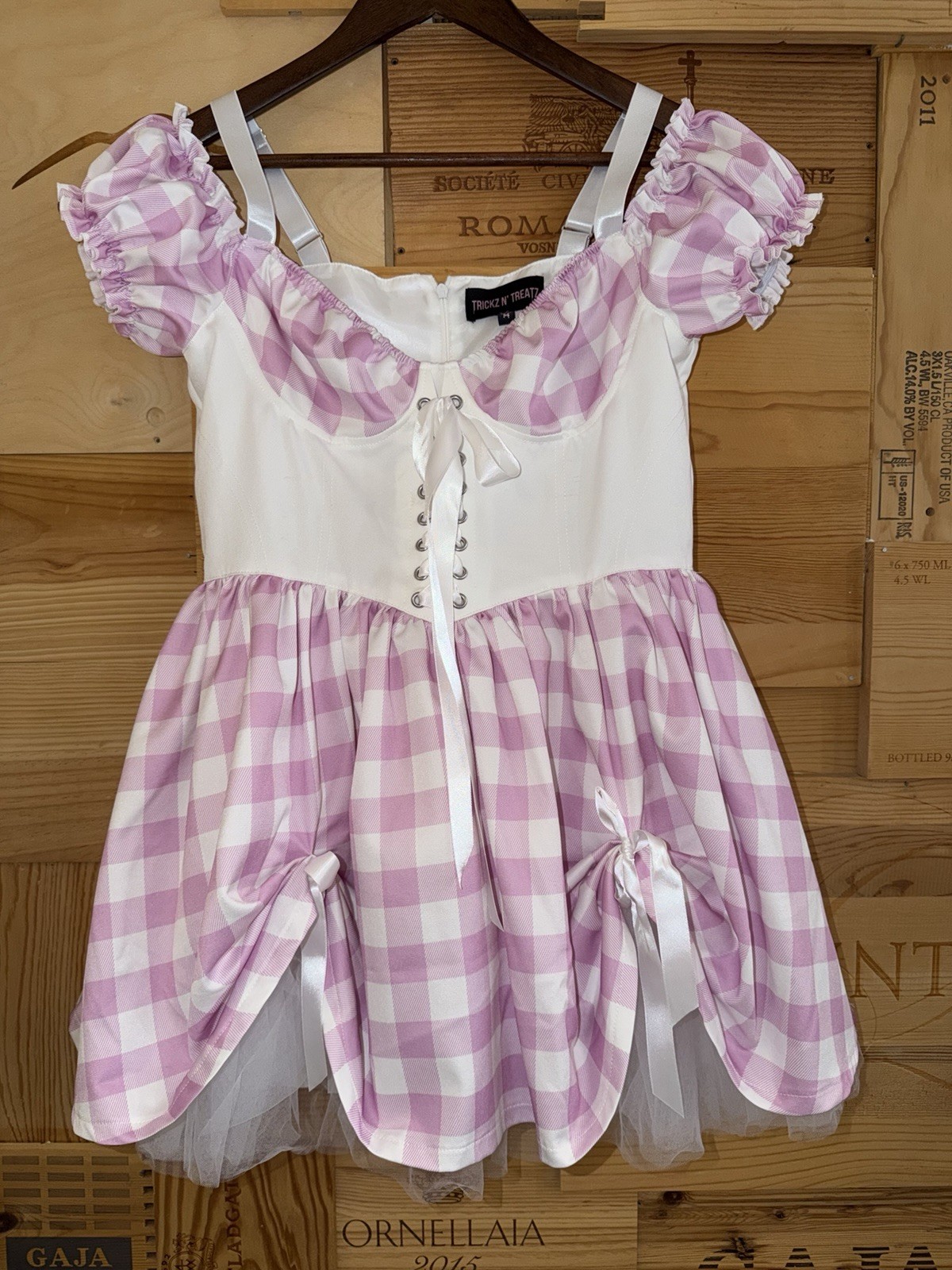 Dolls Kill Trickz N Treatz Pink Gingham Corset Babydoll Dress M