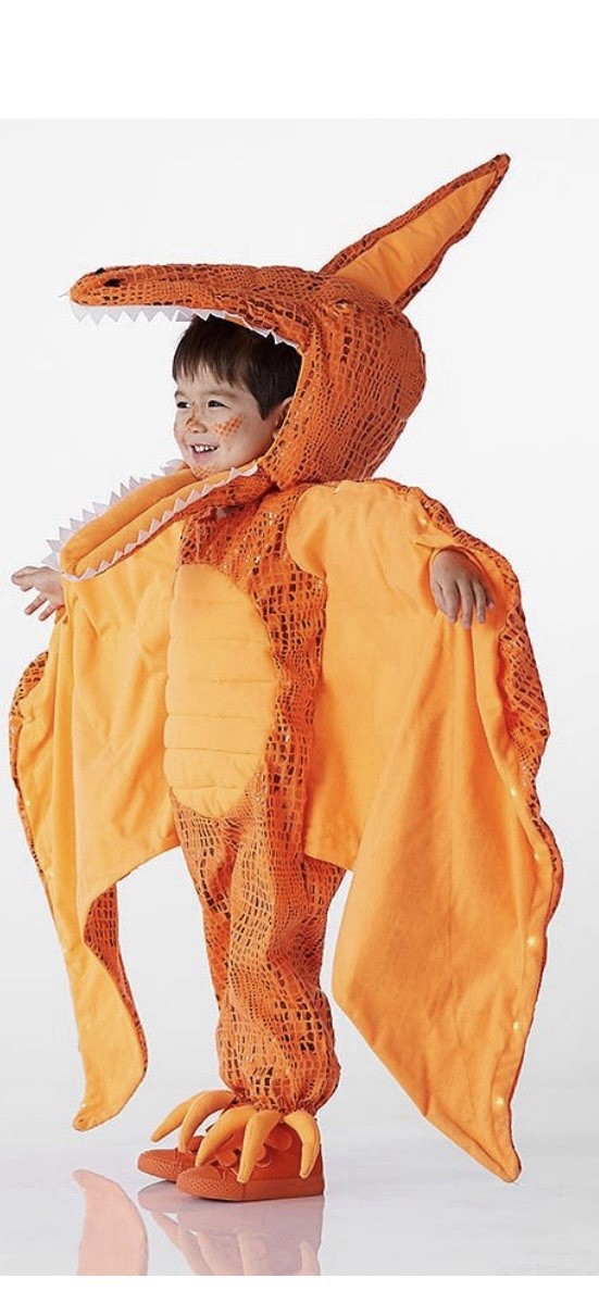NEW! POTTERY BARN KIDS Light-Up Pterodactyl Halloween Costume Size 4-6 YEARS