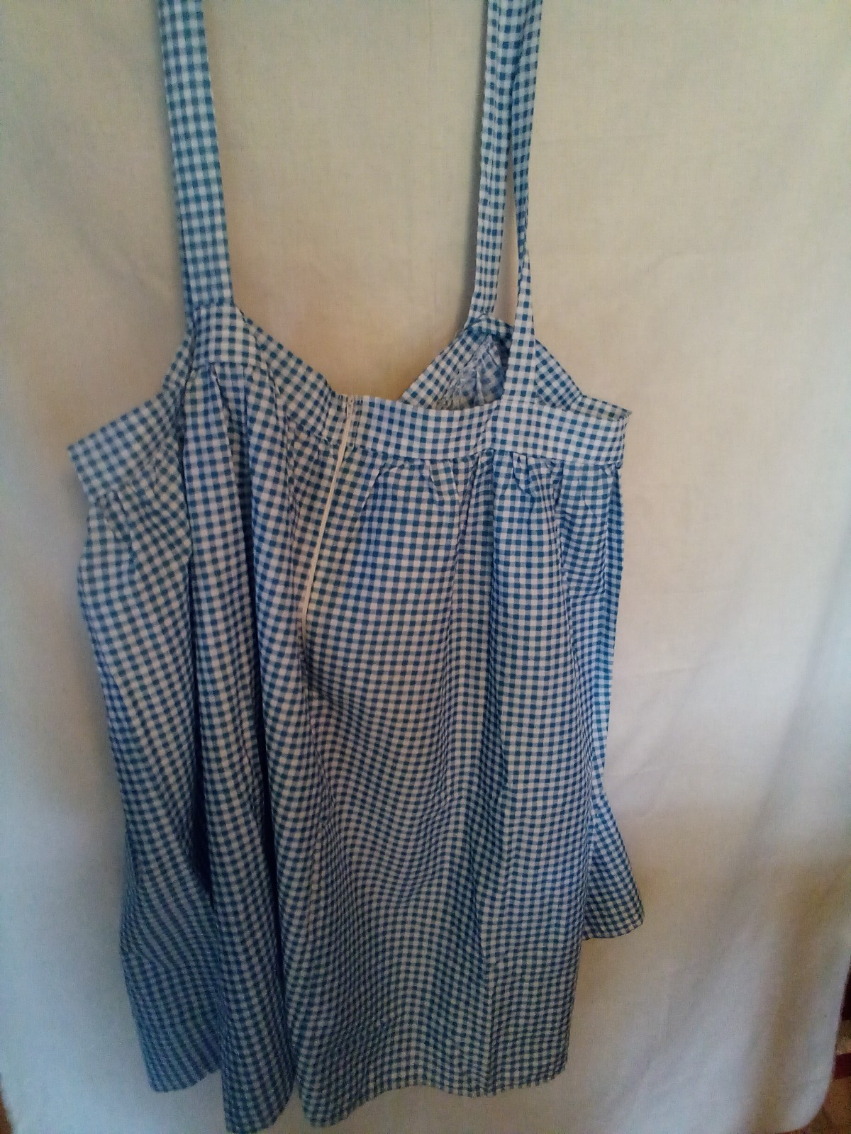 Adult plus size 5x Dorothy Halloween Costume/and Toto in basket