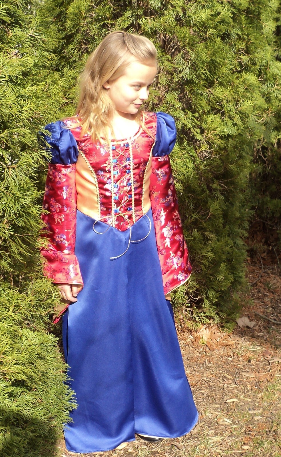 Girls’ sz 10 Medieval/Renaissance Fairy Princess satin Brocade costume dress